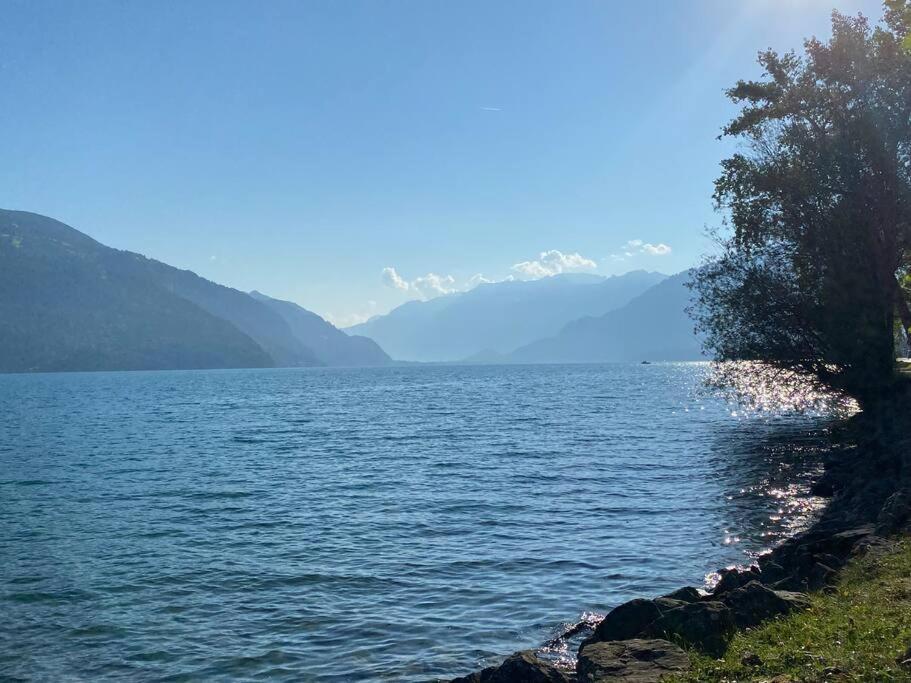 Herrlicher Blick Auf Berge Und See Faulensee Exterior photo